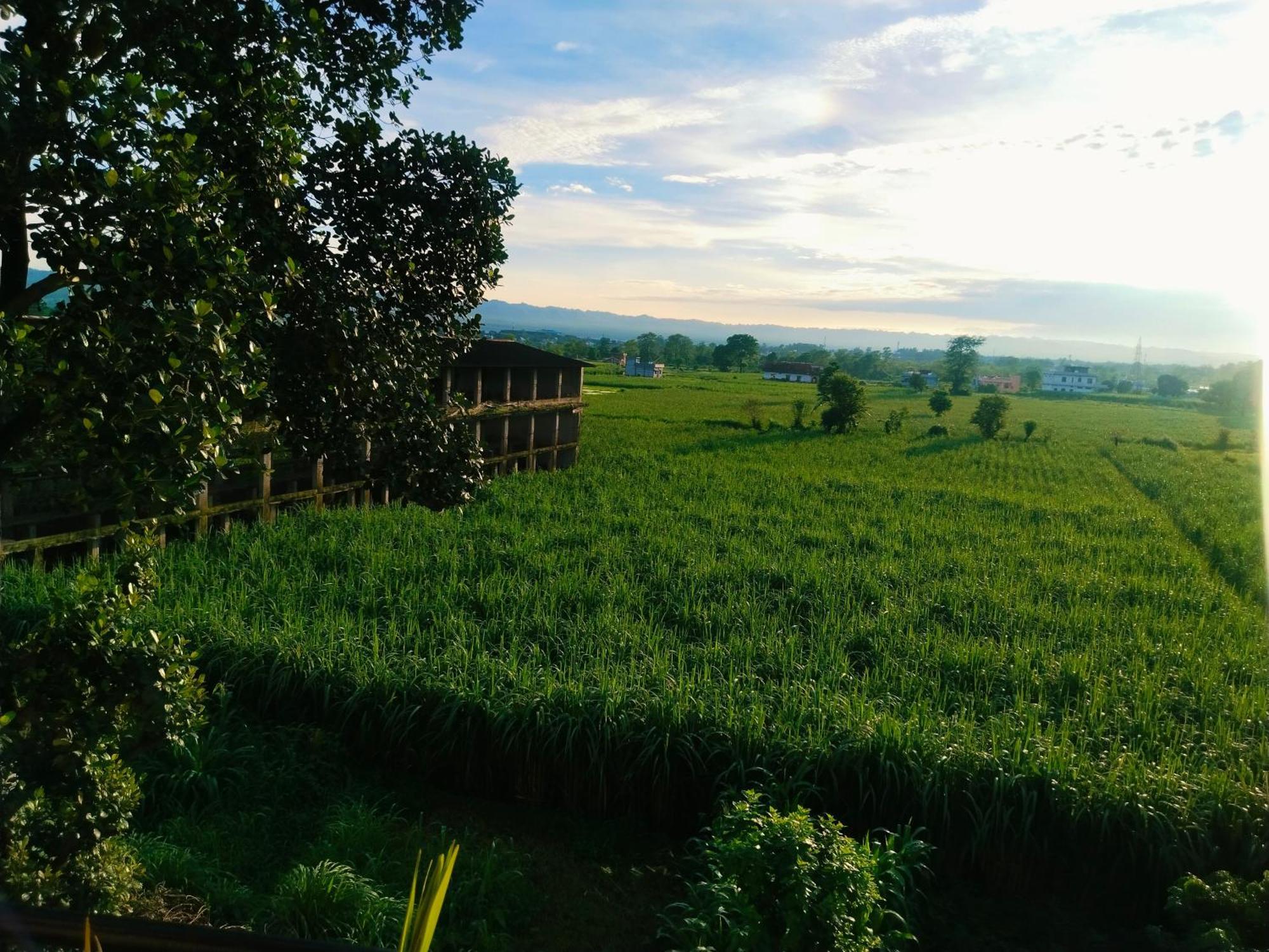 Airport Luxury Nature Homestay- Near Jolly Grant Airport Dehradun Doiwala Exterior photo