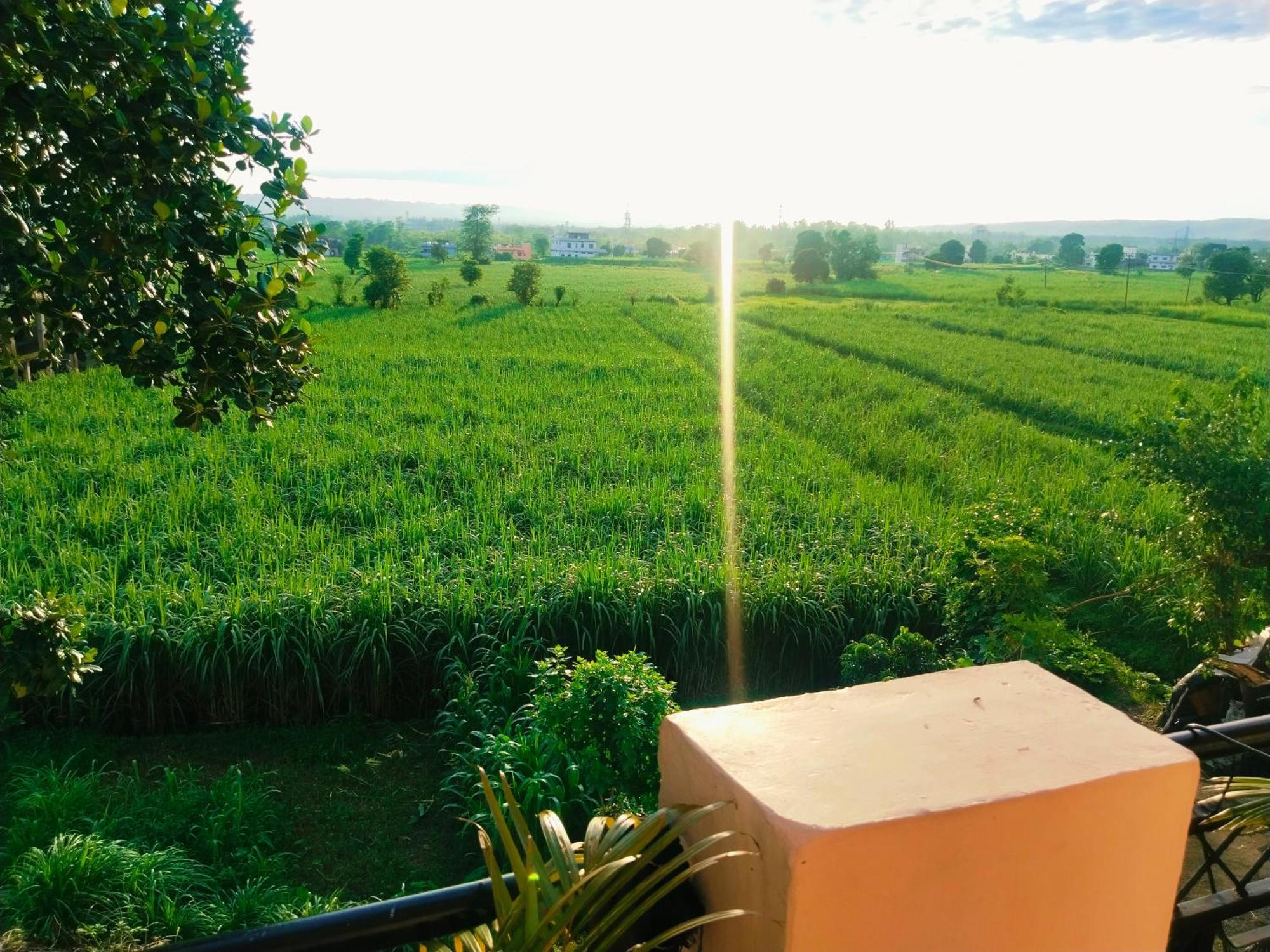 Airport Luxury Nature Homestay- Near Jolly Grant Airport Dehradun Doiwala Exterior photo