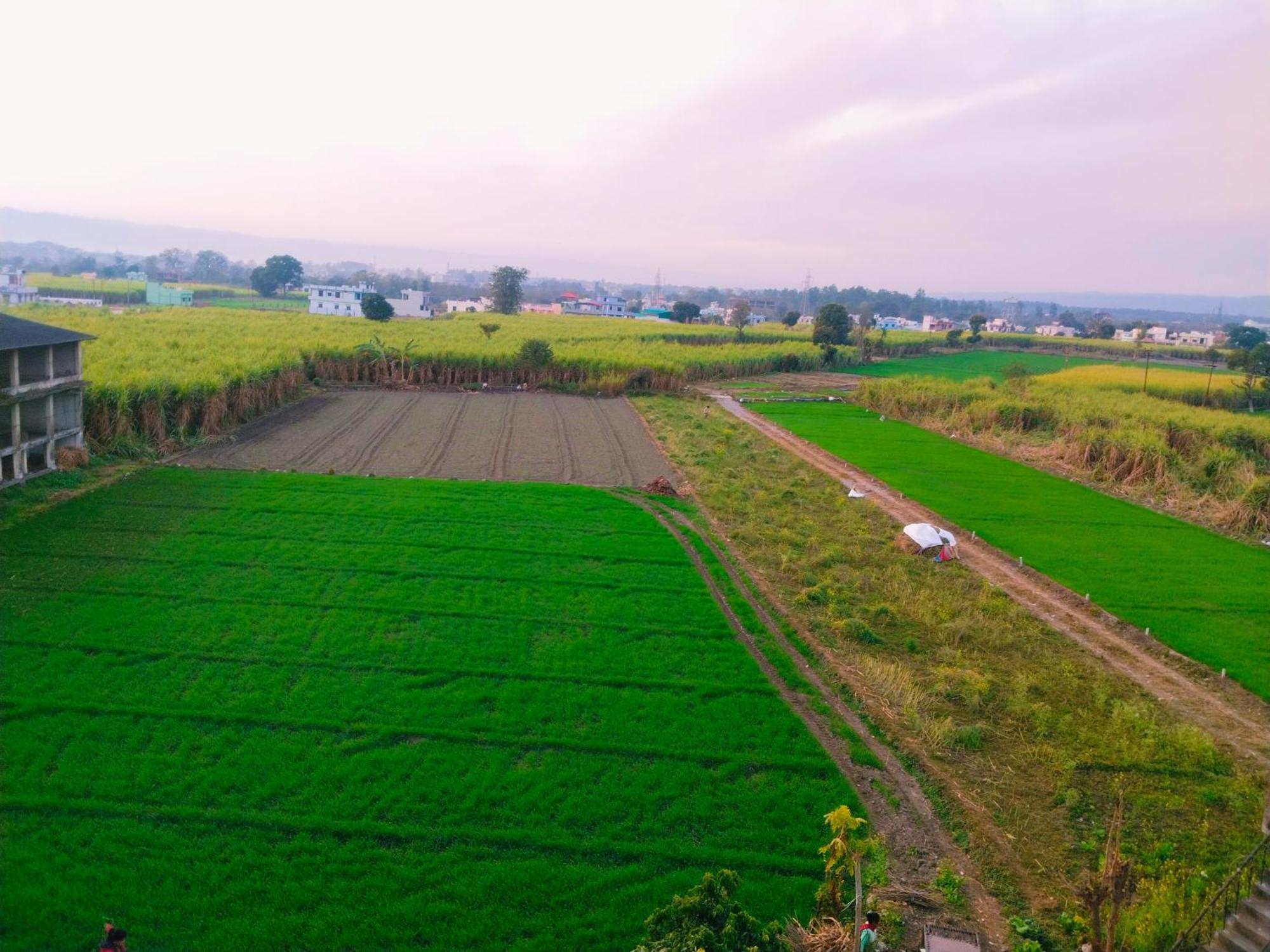 Airport Luxury Nature Homestay- Near Jolly Grant Airport Dehradun Doiwala Exterior photo
