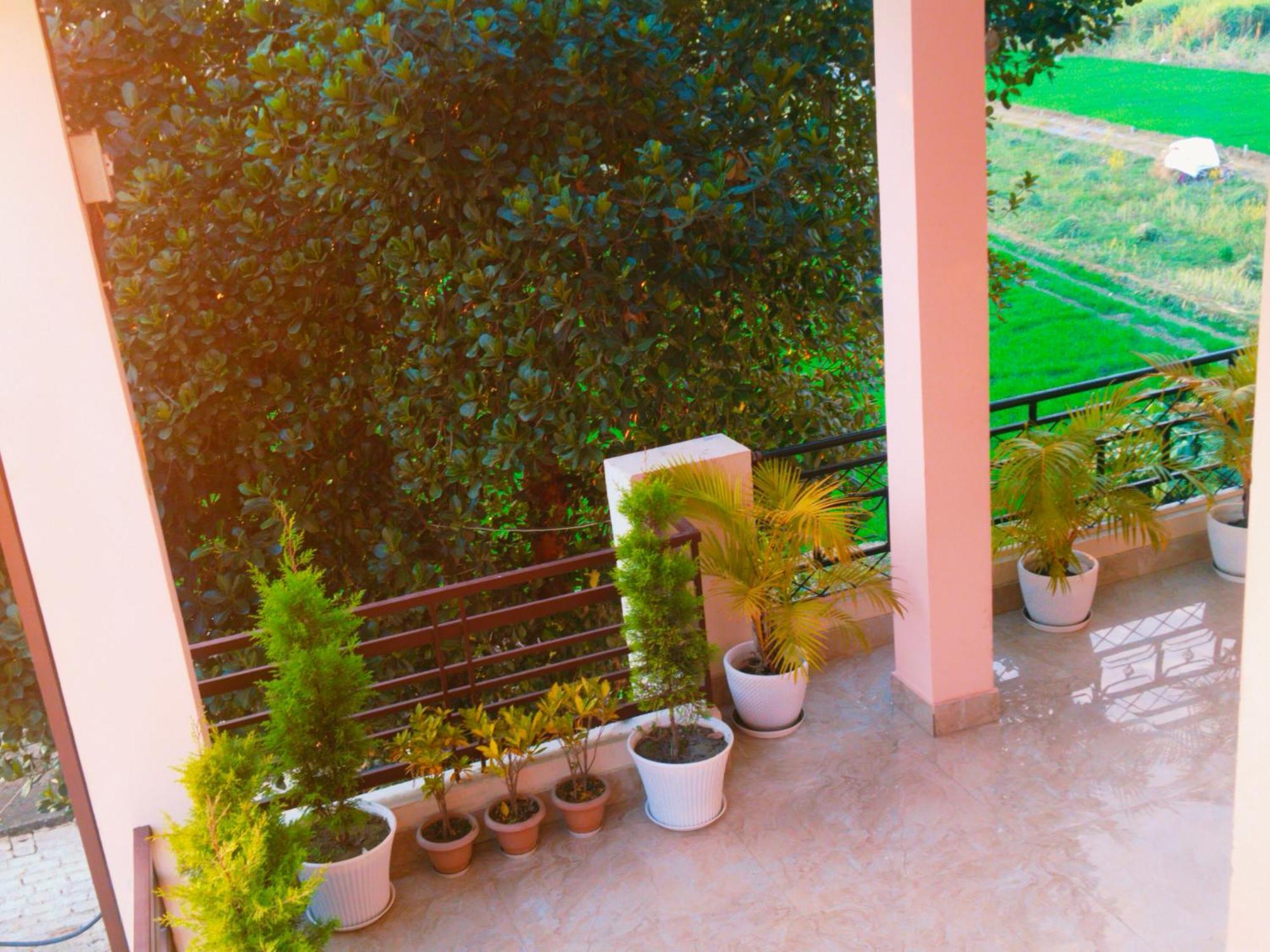 Airport Luxury Nature Homestay- Near Jolly Grant Airport Dehradun Doiwala Exterior photo
