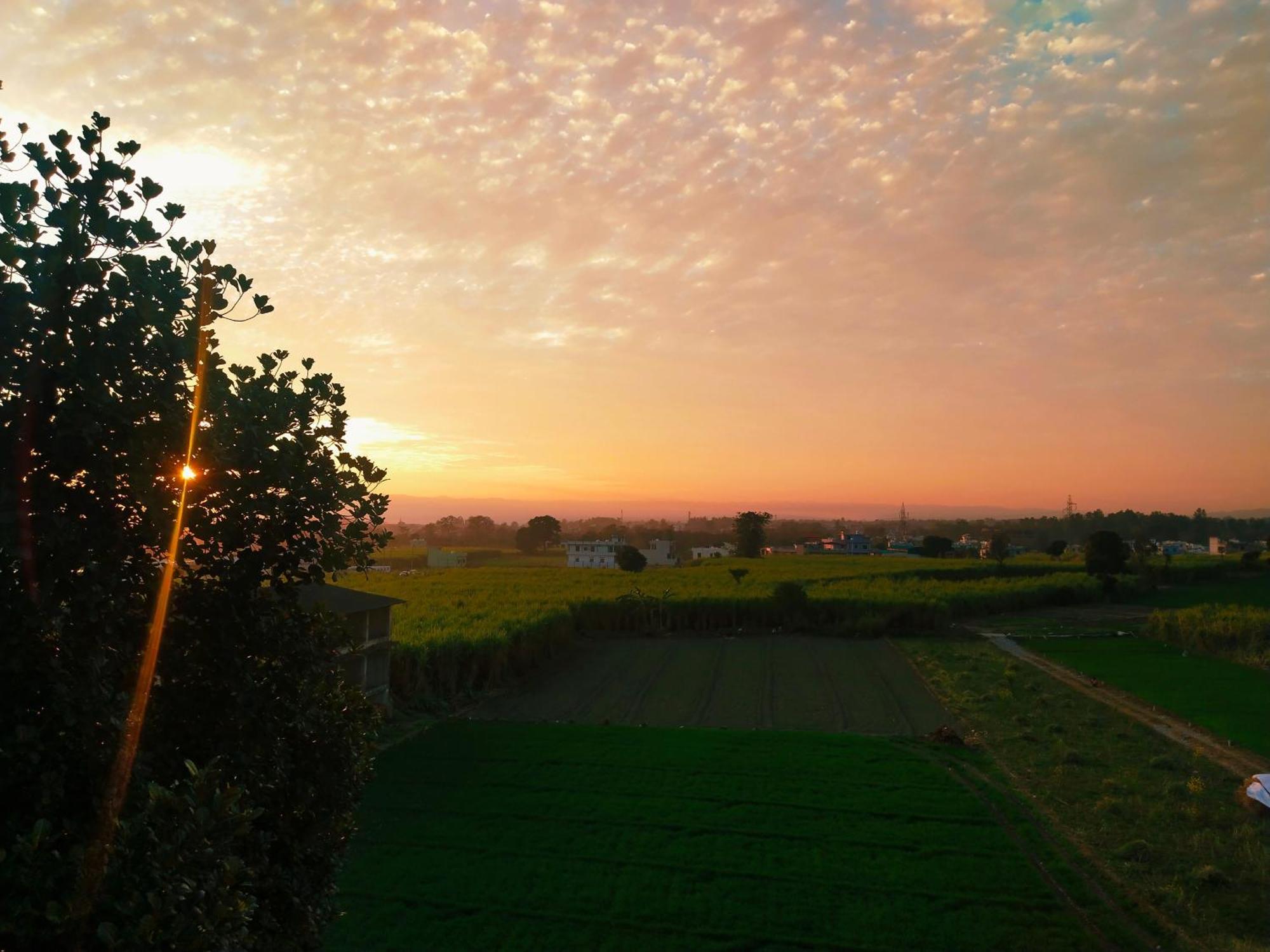 Airport Luxury Nature Homestay- Near Jolly Grant Airport Dehradun Doiwala Exterior photo