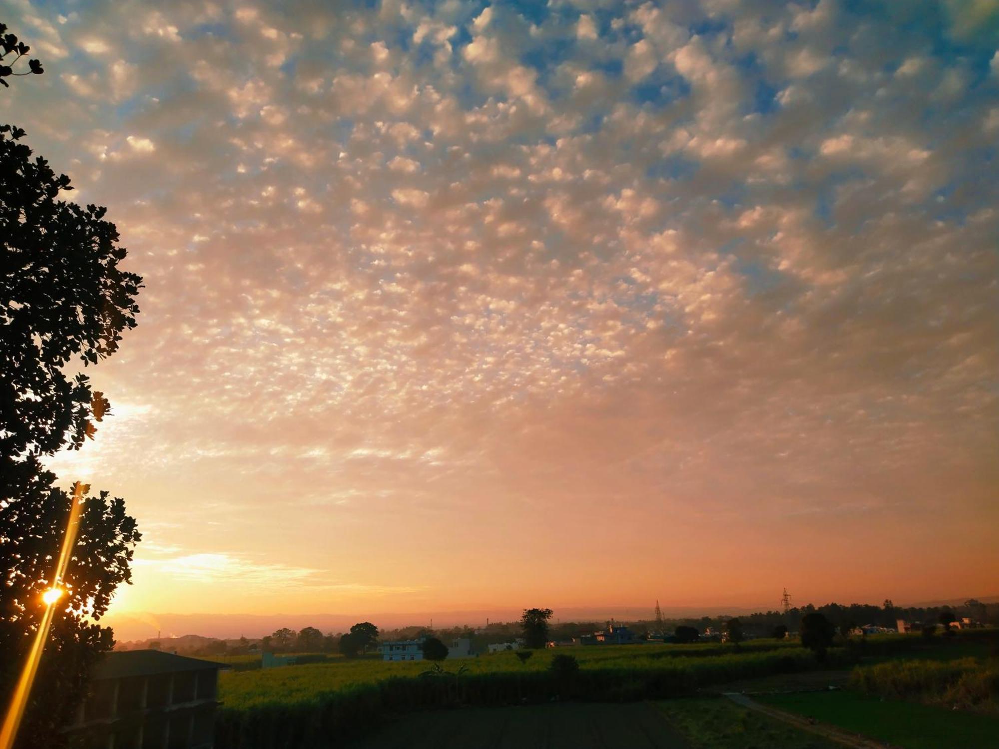 Airport Luxury Nature Homestay- Near Jolly Grant Airport Dehradun Doiwala Exterior photo