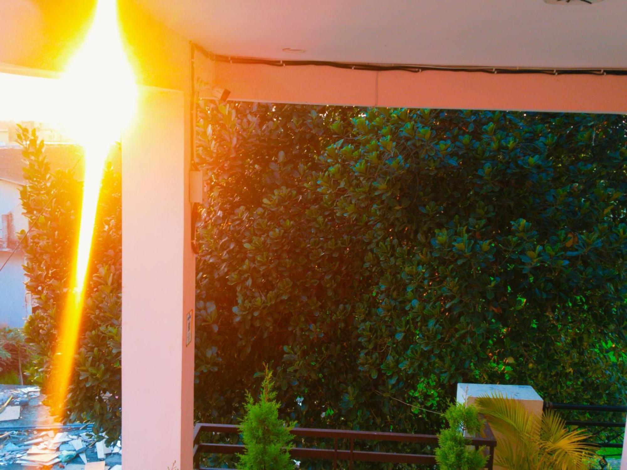 Airport Luxury Nature Homestay- Near Jolly Grant Airport Dehradun Doiwala Exterior photo